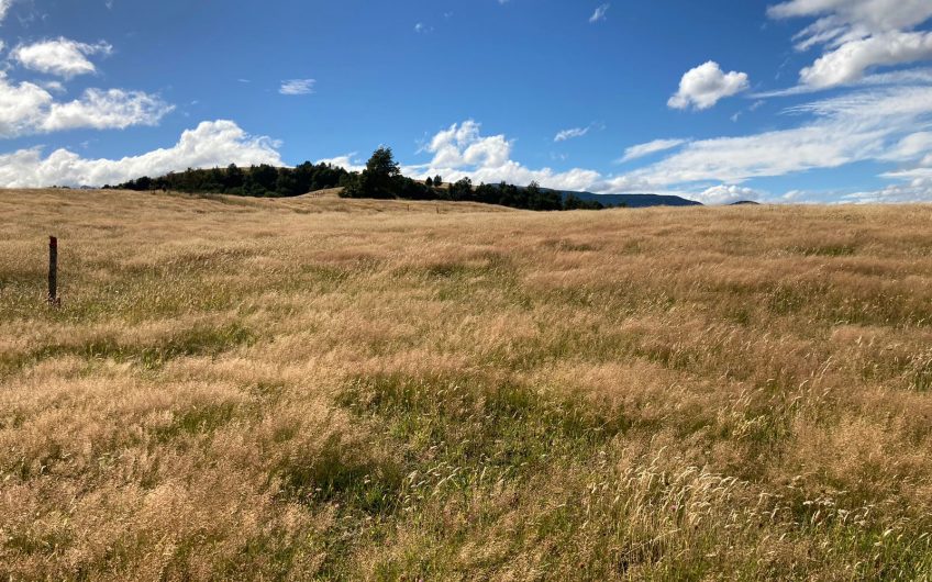 GRAN OPORTUNIDAD DE INVERSIÓN EN SECTOR SEIS LAGUNAS.CALLEJÓN FOURNIEL.