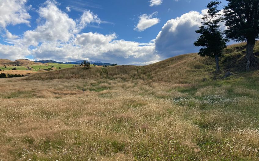 GRAN OPORTUNIDAD DE INVERSIÓN EN SECTOR SEIS LAGUNAS.CALLEJÓN FOURNIEL.