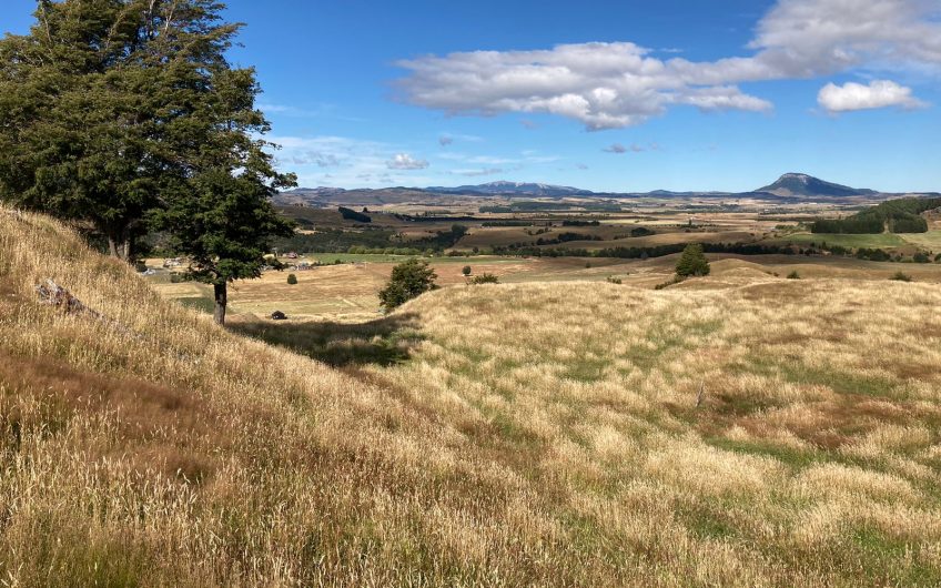 GRAN OPORTUNIDAD DE INVERSIÓN EN SECTOR SEIS LAGUNAS.CALLEJÓN FOURNIEL.