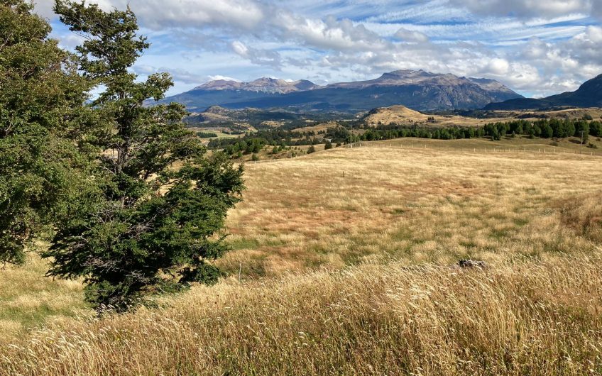 GRAN OPORTUNIDAD DE INVERSIÓN EN SECTOR SEIS LAGUNAS.CALLEJÓN FOURNIEL.