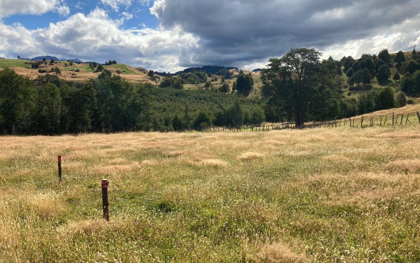 GRAN OPORTUNIDAD DE INVERSIÓN EN SECTOR SEIS LAGUNAS.CALLEJÓN FOURNIEL.