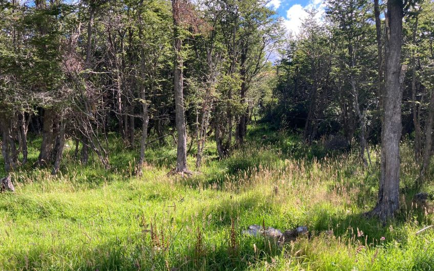 GRAN OPORTUNIDAD DE INVERSIÓN EN SECTOR SEIS LAGUNAS.CALLEJÓN FOURNIEL.