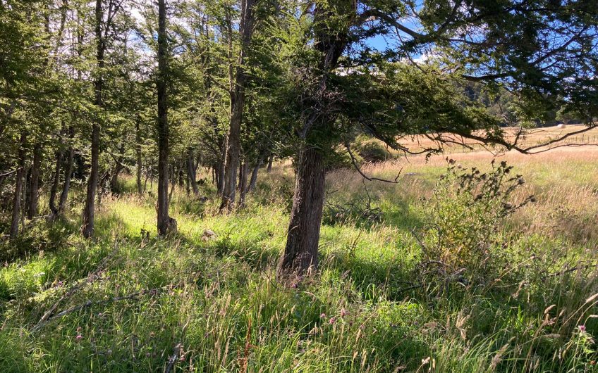 GRAN OPORTUNIDAD DE INVERSIÓN EN SECTOR SEIS LAGUNAS.CALLEJÓN FOURNIEL.