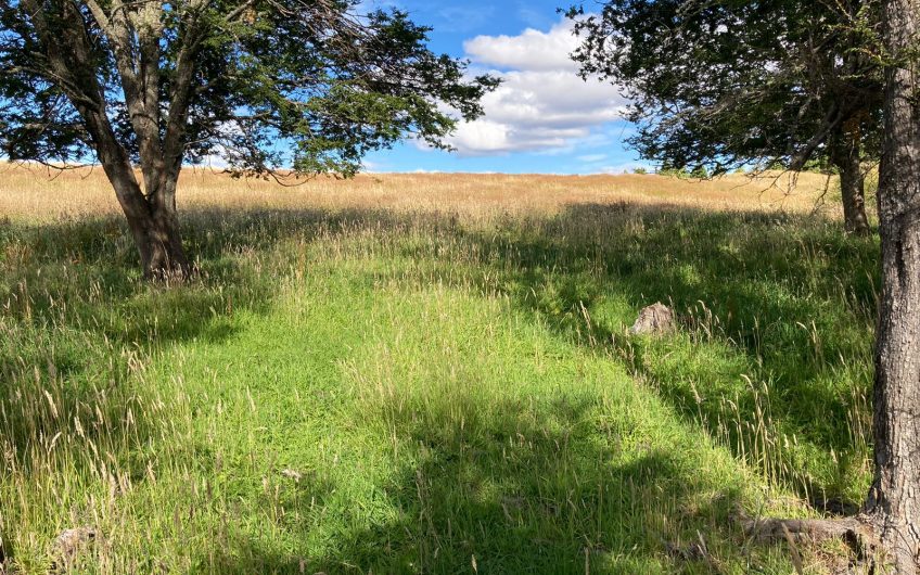 GRAN OPORTUNIDAD DE INVERSIÓN EN SECTOR SEIS LAGUNAS.CALLEJÓN FOURNIEL.