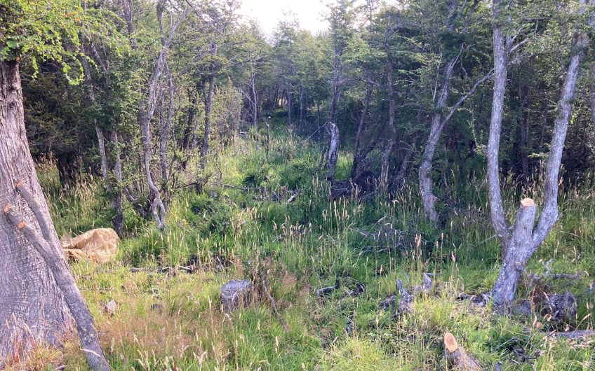 GRAN OPORTUNIDAD DE INVERSIÓN EN SECTOR SEIS LAGUNAS.CALLEJÓN FOURNIEL.