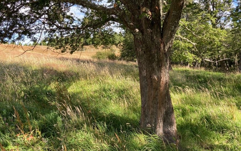 GRAN OPORTUNIDAD DE INVERSIÓN EN SECTOR SEIS LAGUNAS.CALLEJÓN FOURNIEL.