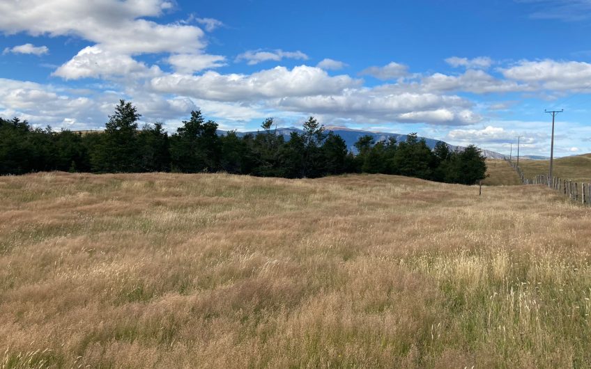 GRAN OPORTUNIDAD DE INVERSIÓN EN SECTOR SEIS LAGUNAS.CALLEJÓN FOURNIEL.