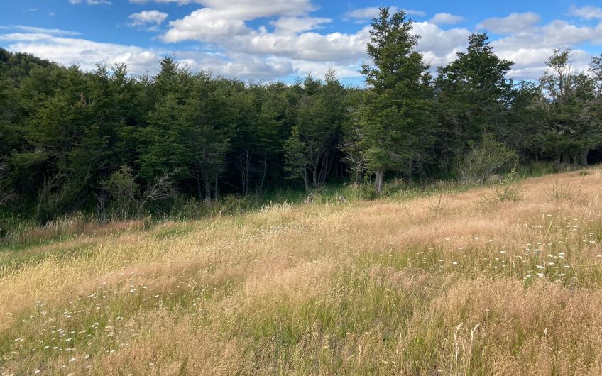 GRAN OPORTUNIDAD DE INVERSIÓN EN SECTOR SEIS LAGUNAS.CALLEJÓN FOURNIEL.
