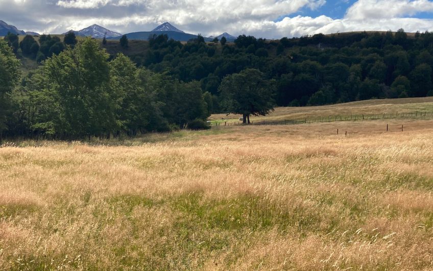 GRAN OPORTUNIDAD DE INVERSIÓN EN SECTOR SEIS LAGUNAS.CALLEJÓN FOURNIEL.