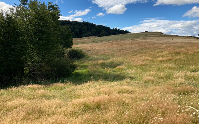 GRAN OPORTUNIDAD DE INVERSIÓN EN SECTOR SEIS LAGUNAS.CALLEJÓN FOURNIEL.