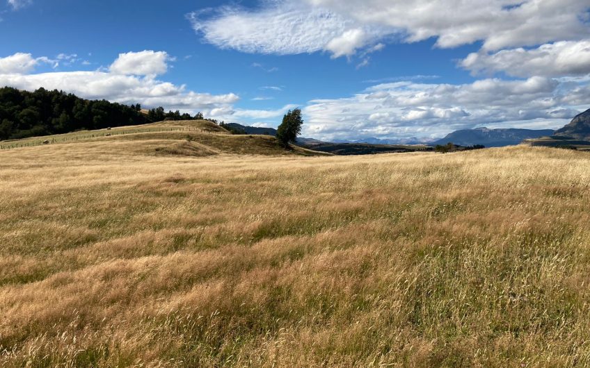 GRAN OPORTUNIDAD DE INVERSIÓN EN SECTOR SEIS LAGUNAS.CALLEJÓN FOURNIEL.
